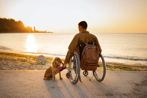 Disability Insurance Income Protection